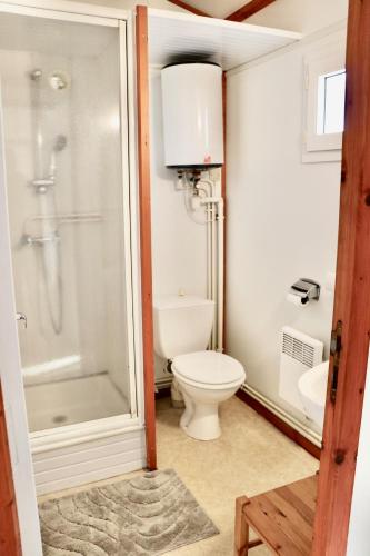 a bathroom with a toilet and a shower at Le Havre de Paix Chalet in Rivières