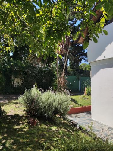 a garden with plants next to a house at Las Grullas in Villa Gesell