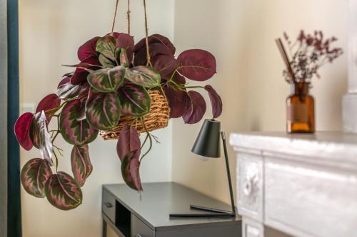 ヴィエンヌにあるVienna Anticのテーブルの上に吊るされたバスケットに入った植物