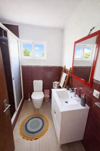 a bathroom with a toilet and a sink and a mirror at Alojamento dos cagarros in São Sebastião