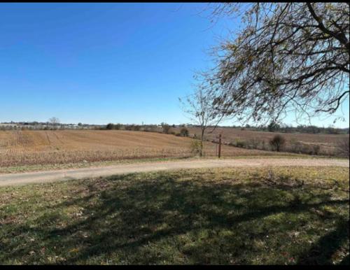 a tree on the side of a road next to a field at Private Bourbon Cabin in Harrodsburg