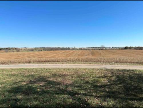 a field with a road and a field of grass at Private Bourbon Cabin in Harrodsburg