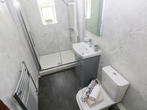 a bathroom with a toilet and a shower and a sink at Brynawel in Burry Port