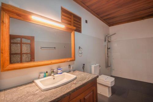 a bathroom with a sink and a mirror and a toilet at Kitulgala Ebony Riverside Resort in Kitulgala