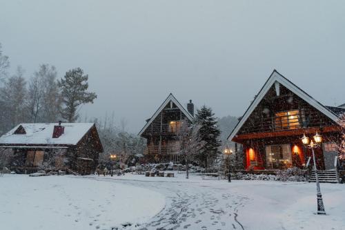 a snow covered yard with two log homes at Best Day Ever Furano Lodges in Furano