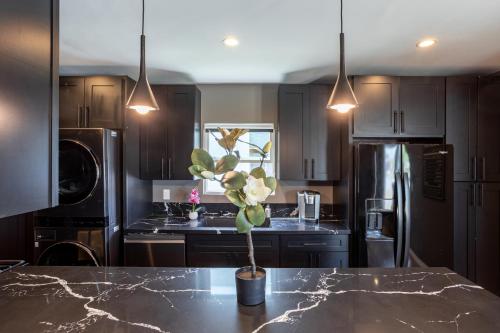 a kitchen with a potted plant on a table at Newly Renovated Bungalow w Free Parking 4min from SoFi, 8min from Airport in Los Angeles