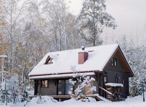 Best Day Ever Furano Lodges