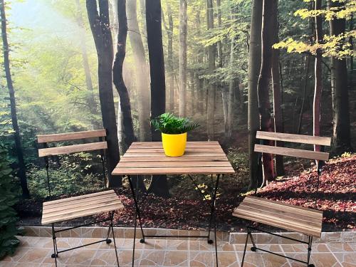 Walk Everywhere - Peaceful, Lovely, 1st floor, flat near Agias Sofia Church