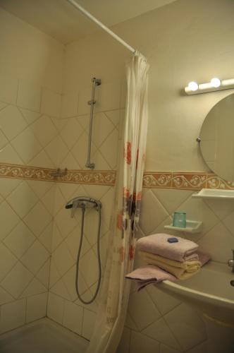 ein Bad mit einer Dusche und einem Waschbecken in der Unterkunft Le Petit Labouret in Revest-du-Bion