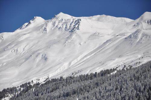 Mountain Studio, Lenzerheide
