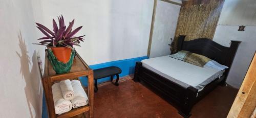 a small room with a bed and a plant in it at Anita's Apartment in Upala