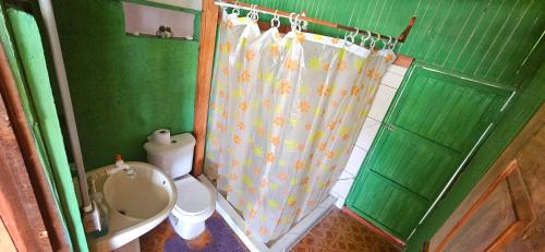 a green bathroom with a toilet and a shower curtain at Anita's Apartment in Upala