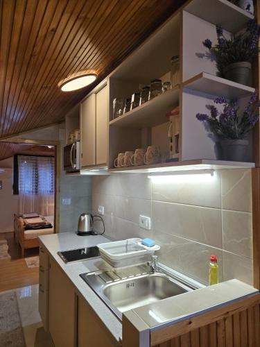 Apartments with parking space Starigrad, Paklenica - 6585