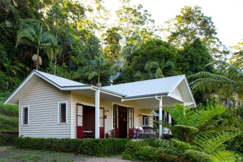 a small white house in the middle of a forest at Nightcap Ridge - Byron Bay Hinterland in Dorroughby