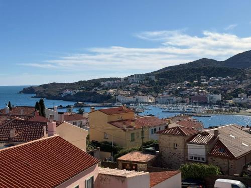 BANYULS-SUR-MER T2 avec vue mer, ascenseur et parking privatif - FR-1-309-102