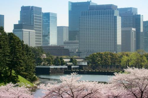 a view of a city withakura trees and a river at Shangri-La Tokyo in Tokyo