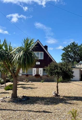 a house with two trees and a cat in the yard at Little Bassett Bed & Breakfast in Totland