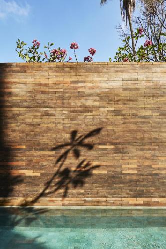Desa Potato Head Bali — Pool view