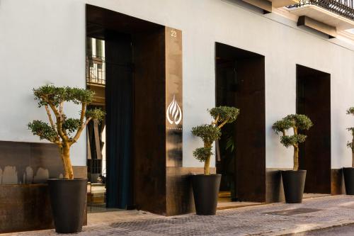 Coeo Despertar Rooftop Terrace Exclusive Apartments photo 54