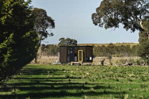 a tiny house sitting in a grassy field at Little Haven Cottage X by Tiny Away in Balliang