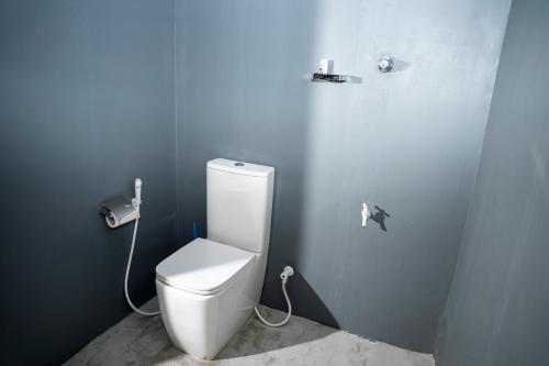 a bathroom with a white toilet in a blue wall at Nagalakanda Eco Lodge in Millewa