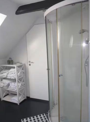 a bathroom with a walk in shower and a mirror at Private country side apartment in Holstebro