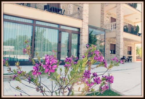 a bunch of purple flowers in front of a building at Halanus Hotel And Resort in Alanno