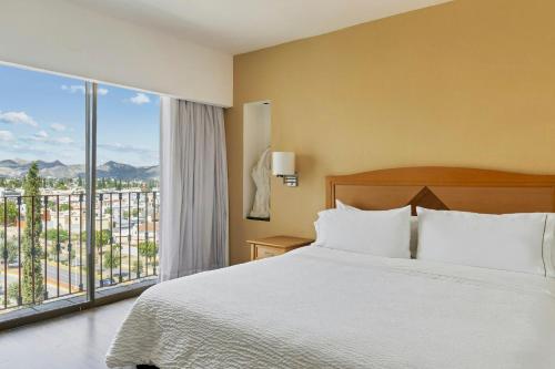 a bedroom with a bed and a large window at Fiesta Inn Express Chihuahua in Chihuahua