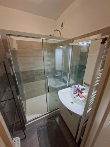 a bathroom with a shower and a sink at Dombó apartman in Dombóvár