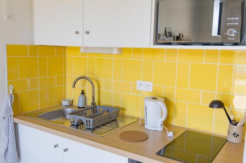 a kitchen with a sink and a counter top with yellow tiles at Résidences EMA-CNIFOP in Saint-Amand-en-Puisaye
