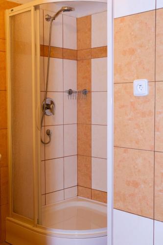a shower with a glass door in a bathroom at Pension Fontana in Poděbrady