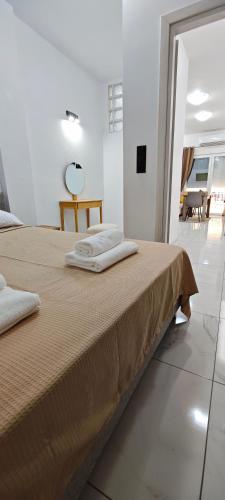 The Omonoia Apartment