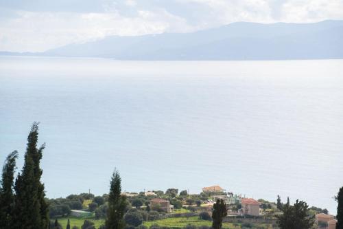 The Cerulean Villa - The Concord Of Blue And Green