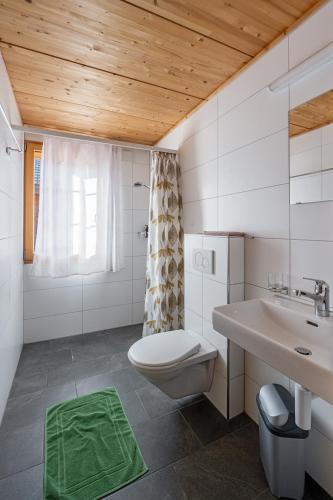 a bathroom with a toilet and a sink at Bed and Breakfast Bauernhof Bättwil in Burgdorf