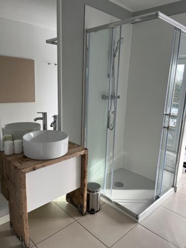 a bathroom with a sink and a glass shower at Pension N-Ring in Nürburg