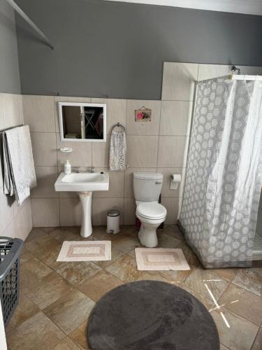 a bathroom with a toilet and a sink and a shower at Kort a Moi in Lichtenburg