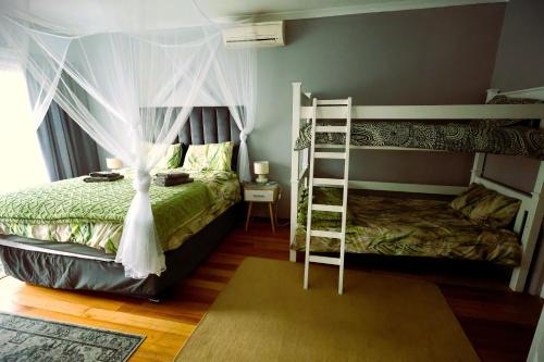 a bedroom with a bunk bed with a ladder at FIG TREE HOUSE Entire holiday home, self catering, 4 bedroom, 2 bathroom, deck and garden in Durban