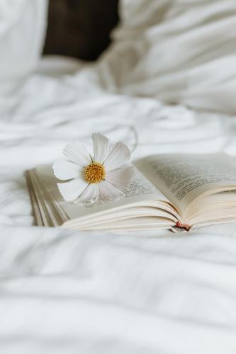 a book with a flower on top of it on a bed at Katrina Summer House in Jūrmalciems
