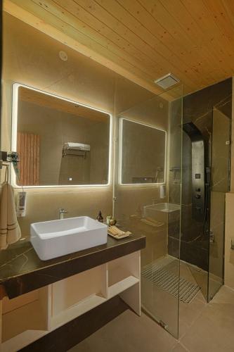 a bathroom with a sink and a shower at ELIVAAS Signature Pine view resort in Sabāthu