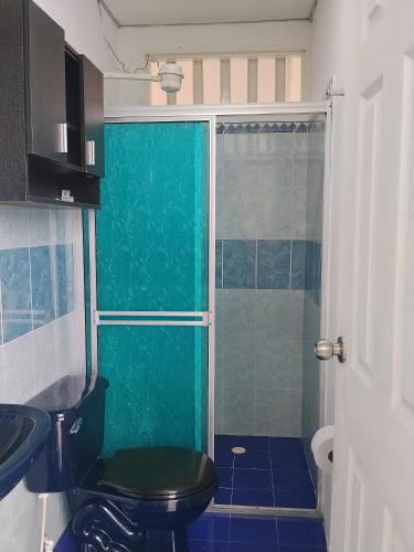 a bathroom with a green shower and a toilet at Apartamento Rústico Moderno in Ruiosucio