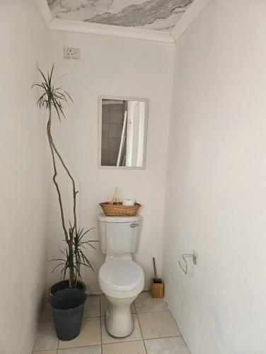 a bathroom with a toilet and two plants in it at Escape Root in Caledon