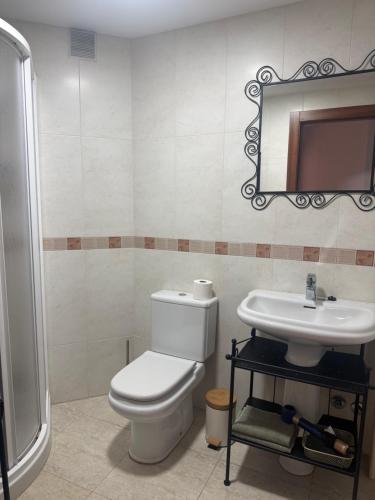 a bathroom with a toilet and a sink at La Terraza de Sovega in Arenas de Cabrales