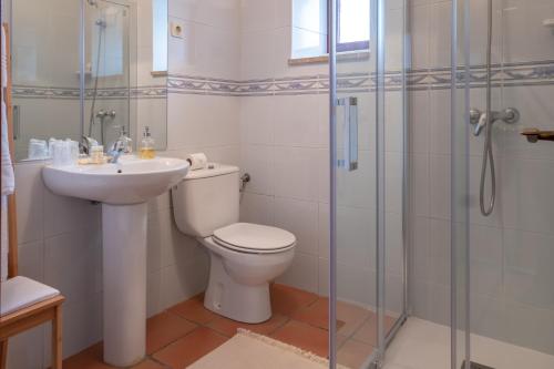 a bathroom with a toilet and a sink and a shower at Portas da Vila in Miranda do Douro