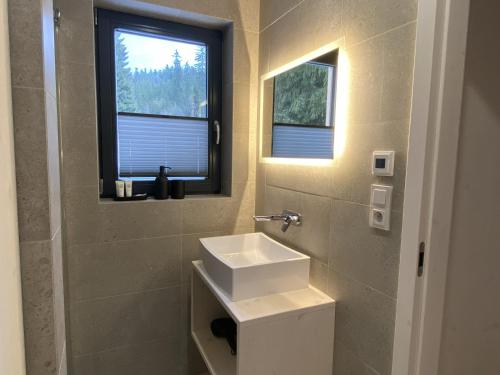 a bathroom with a sink and a window at Chalet Belveder SPORT in Železná Ruda