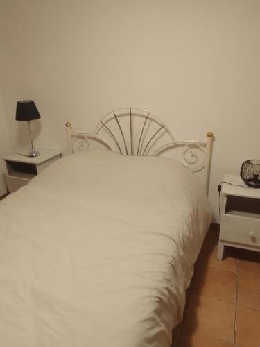 maison avec jardin