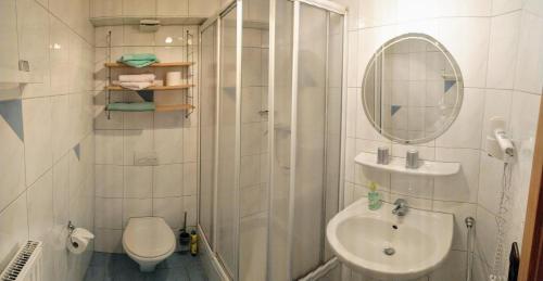 a bathroom with a shower and a toilet and a sink at Ferienhof Wolf in Viechtach