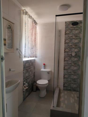 a bathroom with a toilet and a sink and a shower at Kahunaz in Vereeniging