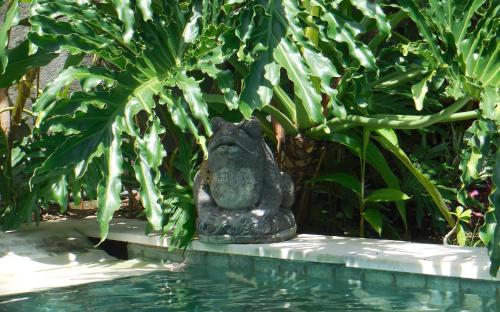 Κήπος έξω από το Villa Esa Ubud
