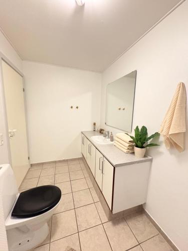 a bathroom with a toilet and a sink and a mirror at K&V Apartments Billund Near Legoland #1 in Billund