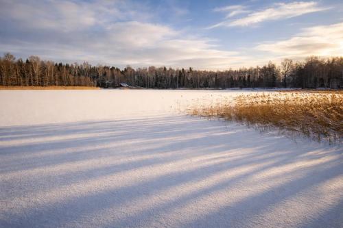 a snow covered field with trees in the background at Berzkrasti Lake House with Private Sauna & Beach in Sigulda